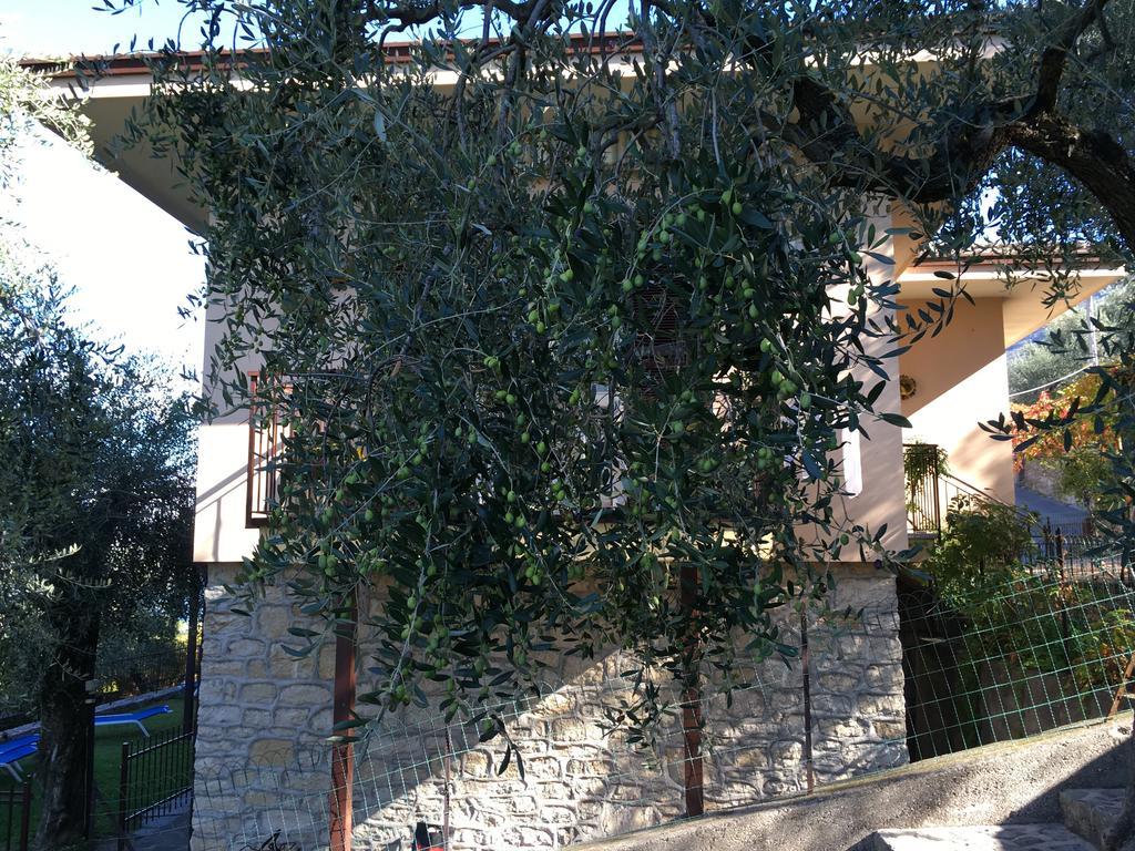 La Virgola Apartments Brenzone sul Garda Eksteriør billede