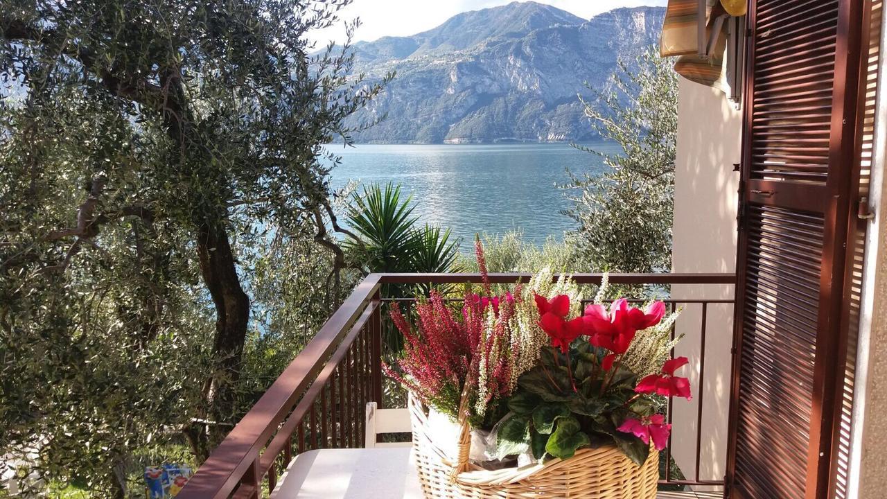 La Virgola Apartments Brenzone sul Garda Eksteriør billede