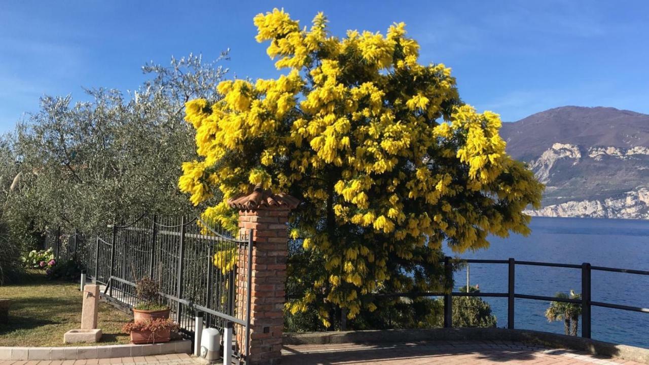 La Virgola Apartments Brenzone sul Garda Eksteriør billede